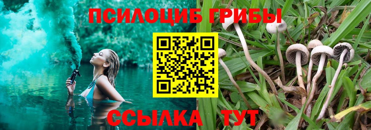 Прокопьевск  Псилоцибиновые грибы GOLDEN TEACHER  Псилоцибиновые грибы MAGIC MUSHROOMS  Вход с VPN 