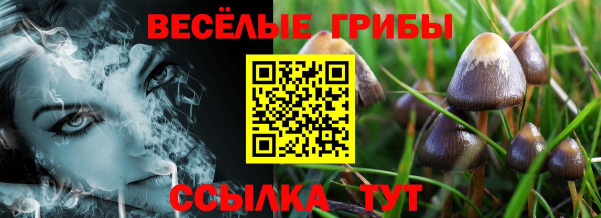 Меф   ГАШ  Прокопьевск  КОКАИН  Вход с VPN  Каннабис  ТГК 