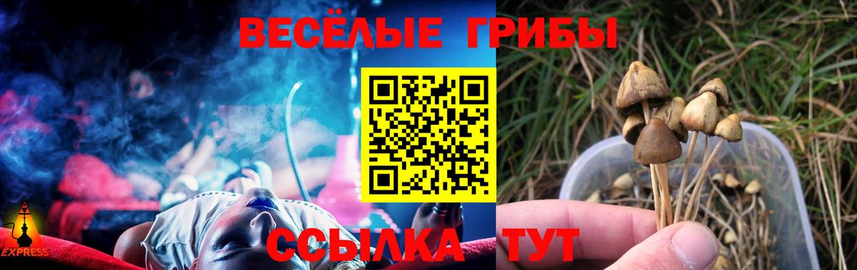 Галлюциногенные грибы мицелий Прокопьевск